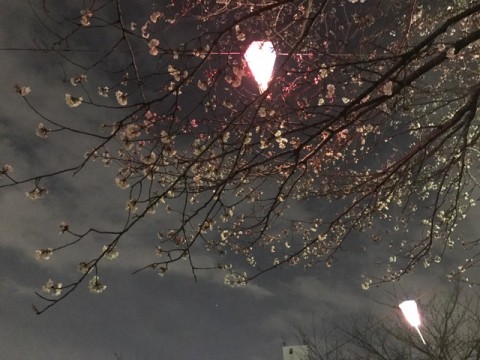 image1_3 image1_3.jpeg